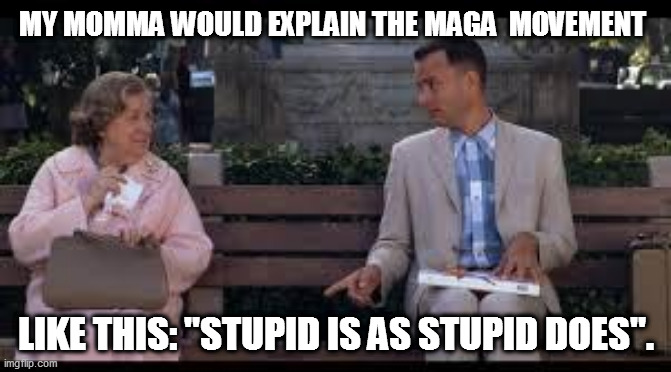 Led around by the nose by a lying con-man. | MY MOMMA WOULD EXPLAIN THE MAGA  MOVEMENT; LIKE THIS: "STUPID IS AS STUPID DOES". | image tagged in forrest gump,maga,stupid | made w/ Imgflip meme maker