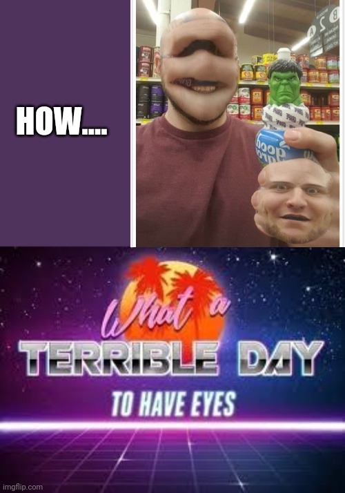 what a terrible day to have eyes | HOW.... | image tagged in what a terrible day to have eyes | made w/ Imgflip meme maker