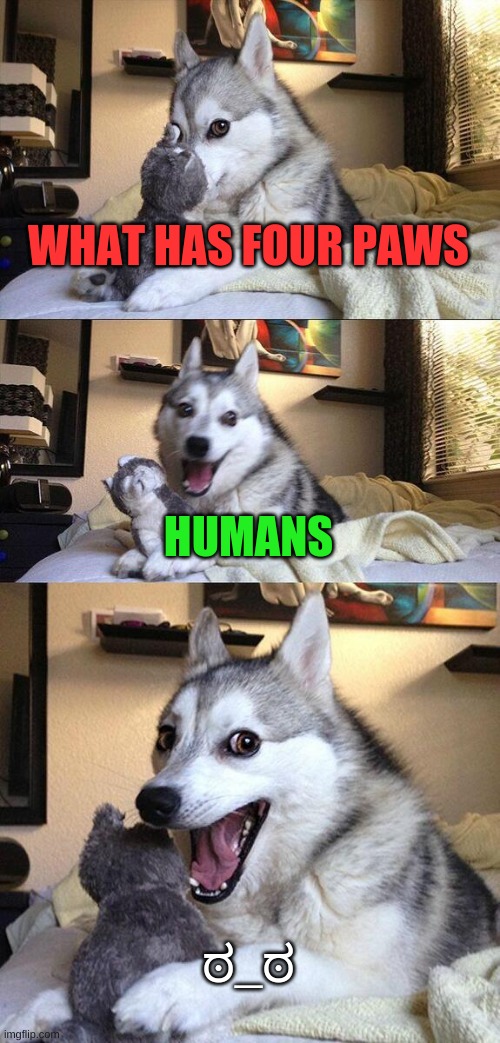 IQ=100 | WHAT HAS FOUR PAWS; HUMANS; ಠ_ಠ | image tagged in memes,bad pun dog | made w/ Imgflip meme maker