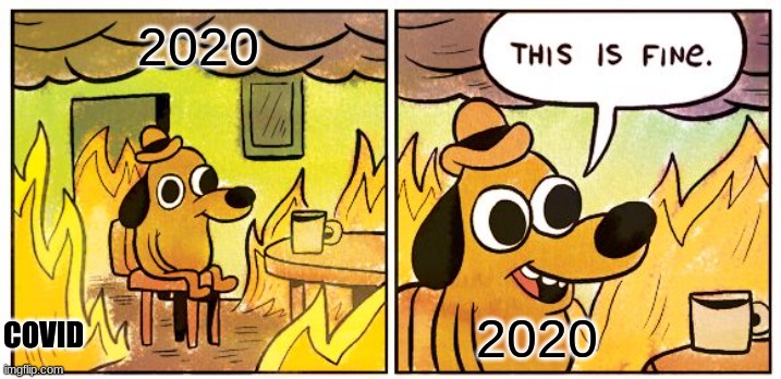 This Is Fine | 2020; COVID; 2020 | image tagged in memes,this is fine | made w/ Imgflip meme maker