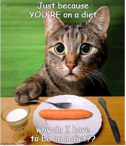 dieting | Just because YOU'RE on a diet; why do I have to be on a diet?? | image tagged in cats | made w/ Imgflip meme maker
