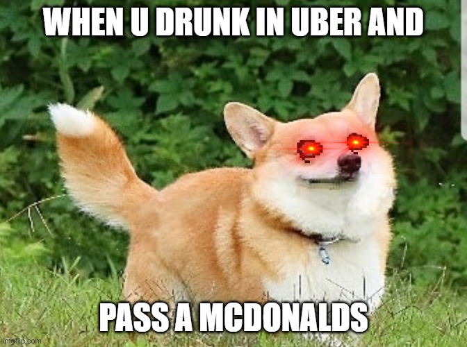 Uber eats...? | WHEN U DRUNK IN UBER AND; PASS A MCDONALDS | image tagged in ok boomer corgi | made w/ Imgflip meme maker