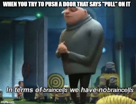 i am the only one who does this like everyday- | WHEN YOU TRY TO PUSH A DOOR THAT SAYS "PULL" ON IT; braincells; braincells | image tagged in in terms of money | made w/ Imgflip meme maker