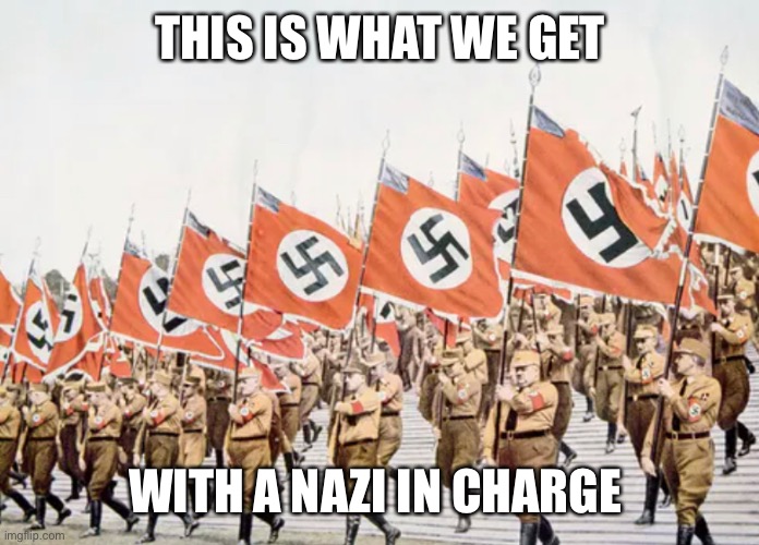 You Heard Me | THIS IS WHAT WE GET; WITH A NAZI IN CHARGE | image tagged in sorry,not,die,toby | made w/ Imgflip meme maker