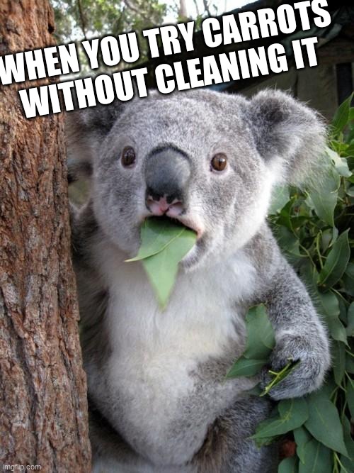 Surprised Koala | WHEN YOU TRY CARROTS WITHOUT CLEANING IT | image tagged in memes,surprised koala | made w/ Imgflip meme maker