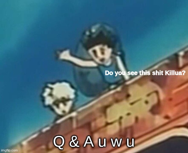 Do you see this shit Killua? | Q & A u w u | image tagged in do you see this shit killua | made w/ Imgflip meme maker