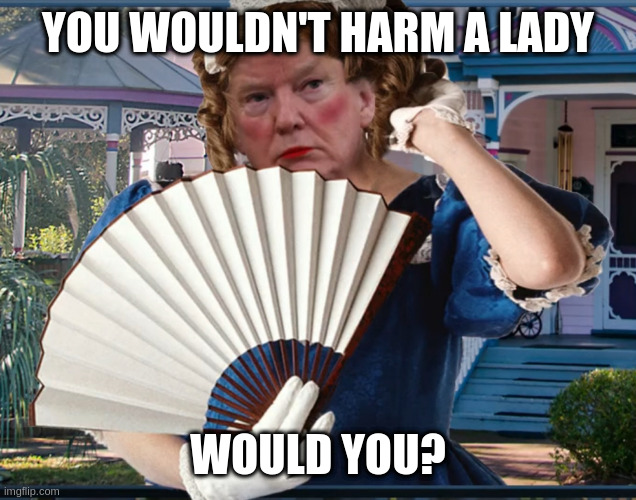 Southern Belle Trumpette | YOU WOULDN'T HARM A LADY WOULD YOU? | image tagged in southern belle trumpette | made w/ Imgflip meme maker