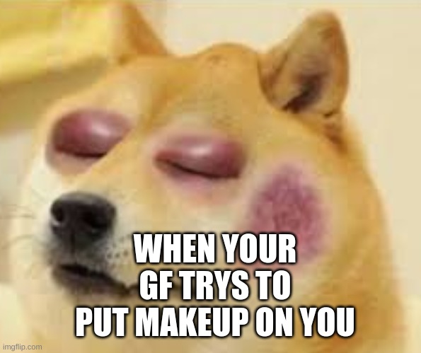WHEN YOUR GF TRYS TO PUT MAKEUP ON YOU | made w/ Imgflip meme maker
