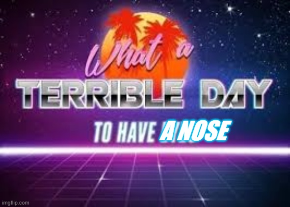 what a terrible day to have eyes | A NOSE | image tagged in what a terrible day to have eyes | made w/ Imgflip meme maker