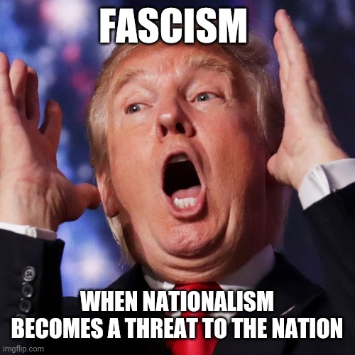The Adolf Hitler of stupid | FASCISM; WHEN NATIONALISM BECOMES A THREAT TO THE NATION | image tagged in the adolf hitler of stupid,malignant narcissism,threat to our national secuirty,pride,greed,fascism | made w/ Imgflip meme maker