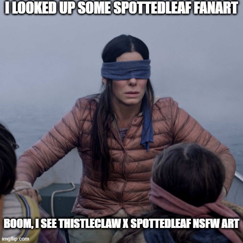 My eyes- Just- No | I LOOKED UP SOME SPOTTEDLEAF FANART; BOOM, I SEE THISTLECLAW X SPOTTEDLEAF NSFW ART | image tagged in memes,bird box | made w/ Imgflip meme maker