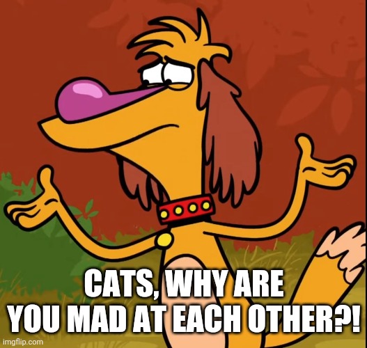 Confused Hal (Nature Cat) | CATS, WHY ARE YOU MAD AT EACH OTHER?! | image tagged in confused hal nature cat | made w/ Imgflip meme maker