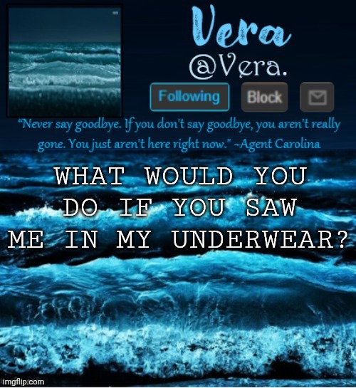 a n n o u n c e r e v i s e d | WHAT WOULD YOU DO IF YOU SAW ME IN MY UNDERWEAR? | image tagged in a n n o u n c e r e v i s e d | made w/ Imgflip meme maker
