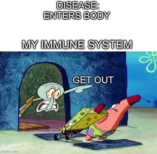 White blood cells be like | DISEASE: ENTERS BODY; MY IMMUNE SYSTEM; GET OUT | image tagged in squidward get out of my house,memes | made w/ Imgflip meme maker