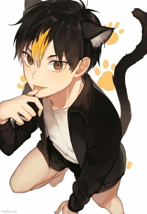 Neko Noya- >w< | made w/ Imgflip meme maker