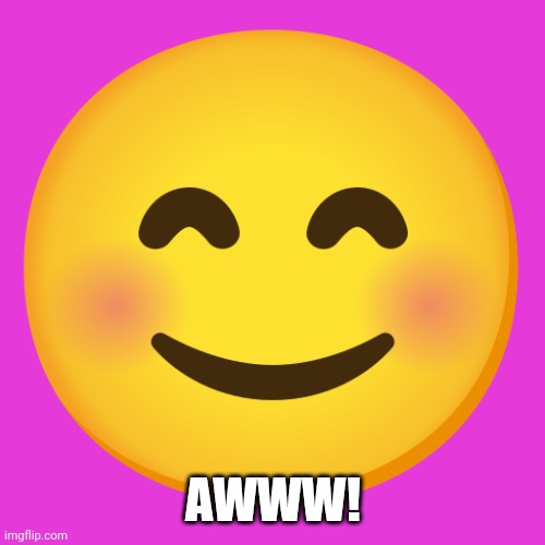 Cute Smiley Face Emoji | AWWW! | image tagged in cute smiley face emoji | made w/ Imgflip meme maker