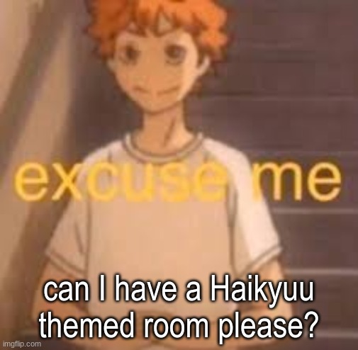 I know I had a bnha one, but I wanted to change it | can I have a Haikyuu themed room please? | image tagged in excuse me | made w/ Imgflip meme maker