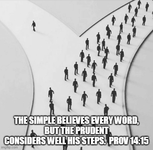 Simple People Believe Everything They're Told | THE SIMPLE BELIEVES EVERY WORD,
BUT THE PRUDENT CONSIDERS WELL HIS STEPS.  PROV 14:15 | image tagged in vaccine,mask,science,protest | made w/ Imgflip meme maker