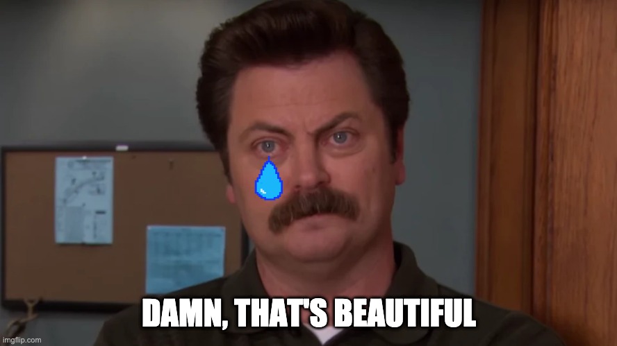 Ron Swanson Cry | DAMN, THAT'S BEAUTIFUL | image tagged in ron swanson,parks and rec,tears of joy,liberal tears | made w/ Imgflip meme maker