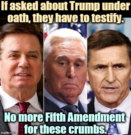 Pardons only apply to Federal criminal acts in the past. Not to future acts, nor civil crimes, nor State or City investigations. | If asked about Trump under oath, they have to testify. No more Fifth Amendment 
for these crumbs. | image tagged in trump,criminals,pardon,guilty | made w/ Imgflip meme maker