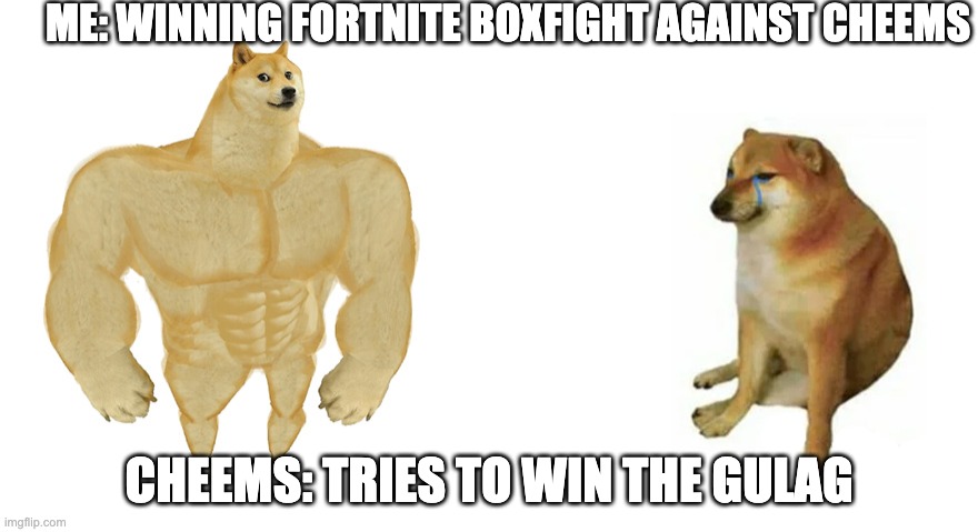 Buff Doge vs Crying Cheems | ME: WINNING FORTNITE BOXFIGHT AGAINST CHEEMS; CHEEMS: TRIES TO WIN THE GULAG | image tagged in buff doge vs crying cheems | made w/ Imgflip meme maker