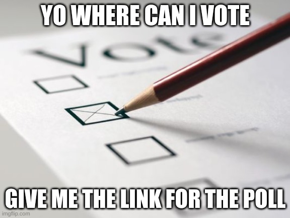 where can we vote | YO WHERE CAN I VOTE; GIVE ME THE LINK FOR THE POLL | image tagged in voting ballot | made w/ Imgflip meme maker