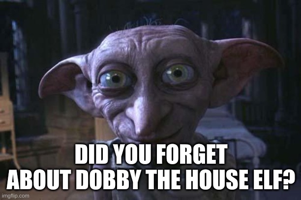 Dobby Is free | DID YOU FORGET ABOUT DOBBY THE HOUSE ELF? | image tagged in dobby is free | made w/ Imgflip meme maker