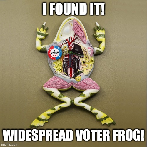 Widespread Voter Frog | I FOUND IT! WIDESPREAD VOTER FROG! | image tagged in frog,voter fraud | made w/ Imgflip meme maker