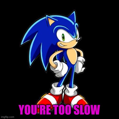 You're Too Slow Sonic Meme | YOU'RE TOO SLOW | image tagged in memes,you're too slow sonic | made w/ Imgflip meme maker