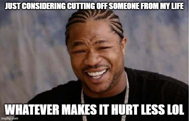 Yo Dawg Heard You Meme | JUST CONSIDERING CUTTING OFF SOMEONE FROM MY LIFE; WHATEVER MAKES IT HURT LESS LOL | image tagged in memes,yo dawg heard you | made w/ Imgflip meme maker