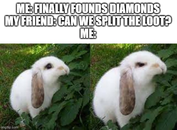 Minecraft diamonds | ME: FINALLY FOUNDS DIAMONDS
MY FRIEND: CAN WE SPLIT THE LOOT?
ME: | image tagged in cute angry rabbit,minecraft,diamonds | made w/ Imgflip meme maker