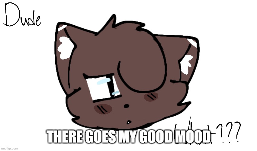 Bruh | THERE GOES MY GOOD MOOD | image tagged in bruh | made w/ Imgflip meme maker