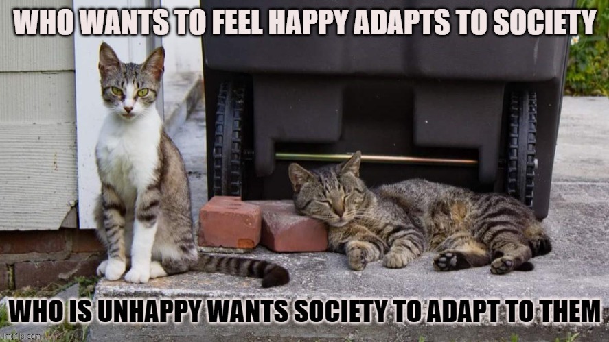 Who wants to feel happy adapts to society | image tagged in happiness,society | made w/ Imgflip meme maker