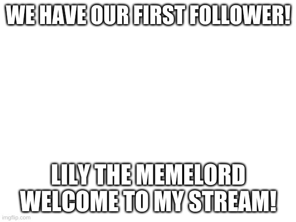 Blank White Template | WE HAVE OUR FIRST FOLLOWER! LILY THE MEMELORD WELCOME TO MY STREAM! | image tagged in blank white template | made w/ Imgflip meme maker