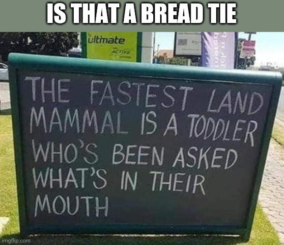 IS THAT A BREAD TIE | image tagged in funny memes | made w/ Imgflip meme maker