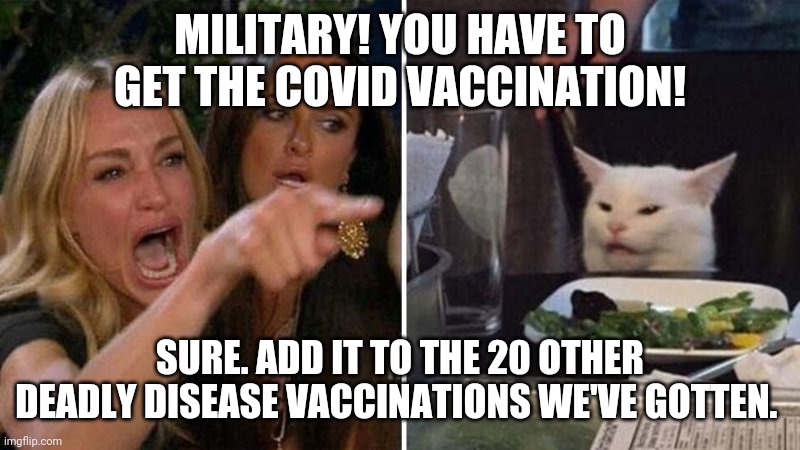 Karen vs Table Cat | MILITARY! YOU HAVE TO GET THE COVID VACCINATION! SURE. ADD IT TO THE 20 OTHER DEADLY DISEASE VACCINATIONS WE'VE GOTTEN. | image tagged in karen vs table cat | made w/ Imgflip meme maker