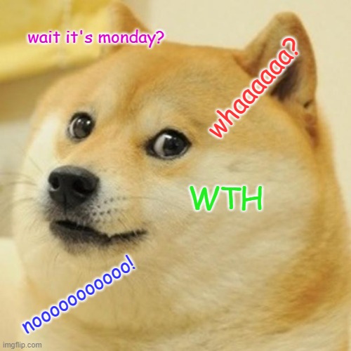 Doge | wait it's monday? whaaaaaa? WTH; nooooooooooo! | image tagged in memes,doge | made w/ Imgflip meme maker