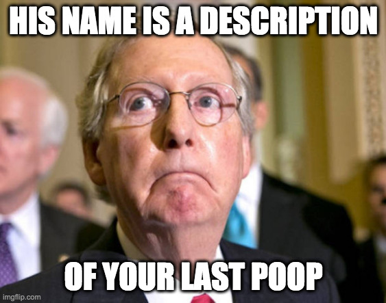 mitch mcconnell | HIS NAME IS A DESCRIPTION; OF YOUR LAST POOP | image tagged in mitch mcconnell,stimulus,turtlehead,kentucky,gop | made w/ Imgflip meme maker