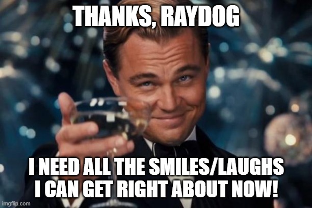 Leonardo Dicaprio Cheers Meme | THANKS, RAYDOG I NEED ALL THE SMILES/LAUGHS I CAN GET RIGHT ABOUT NOW! | image tagged in memes,leonardo dicaprio cheers | made w/ Imgflip meme maker