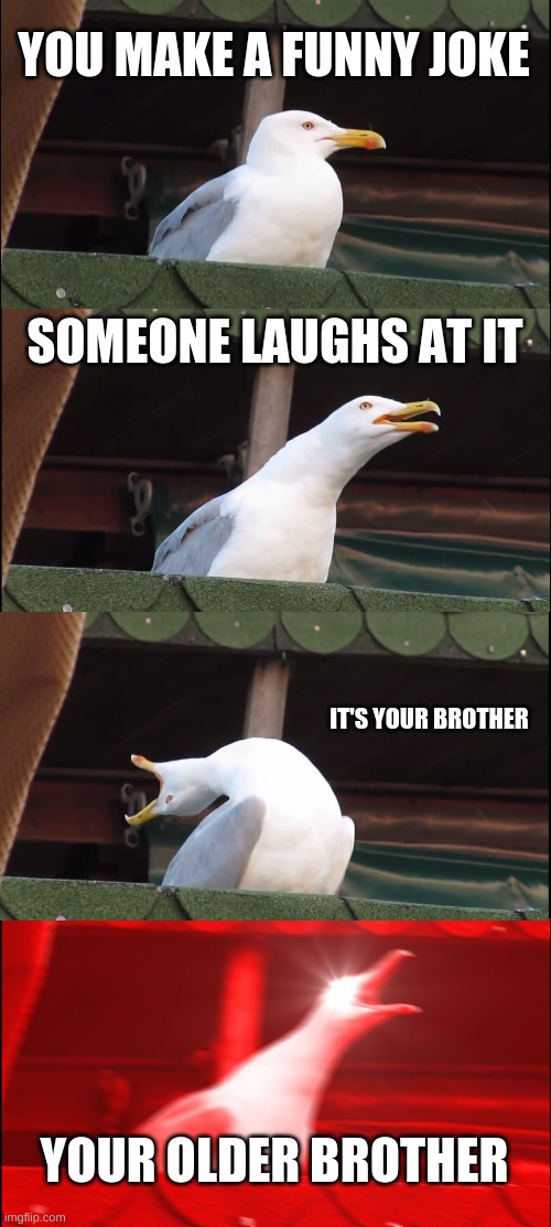 Inhaling Seagull Meme | YOU MAKE A FUNNY JOKE; SOMEONE LAUGHS AT IT; IT'S YOUR BROTHER; YOUR OLDER BROTHER | image tagged in memes,inhaling seagull | made w/ Imgflip meme maker