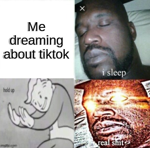 LLLLLLLLLLLLL | Me dreaming about tiktok | image tagged in tiktik trash,tik tok sucks | made w/ Imgflip meme maker