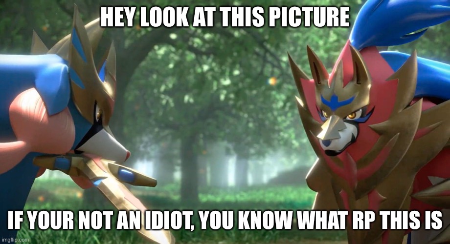 HEY LOOK AT THIS PICTURE; IF YOUR NOT AN IDIOT, YOU KNOW WHAT RP THIS IS | image tagged in pokemon sword and shield,roleplaying | made w/ Imgflip meme maker