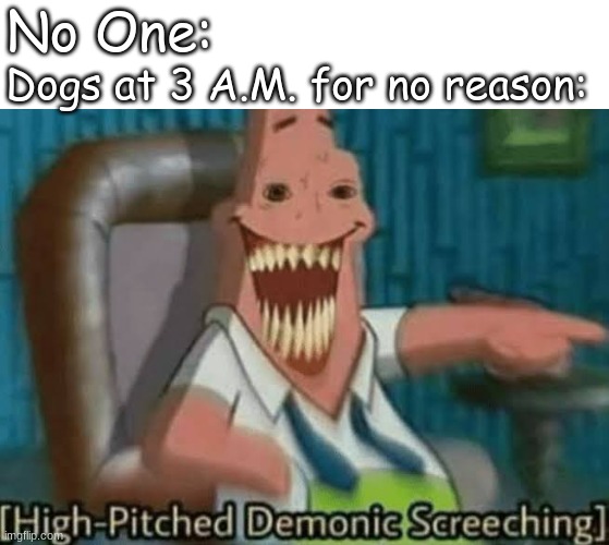 high pitched they are | No One:; Dogs at 3 A.M. for no reason: | image tagged in high-pitched demonic screeching | made w/ Imgflip meme maker