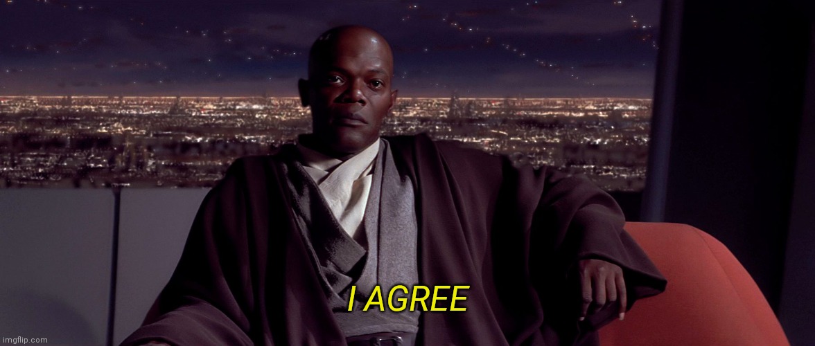 Mace Windu I agree | I AGREE | image tagged in mace windu i agree | made w/ Imgflip meme maker