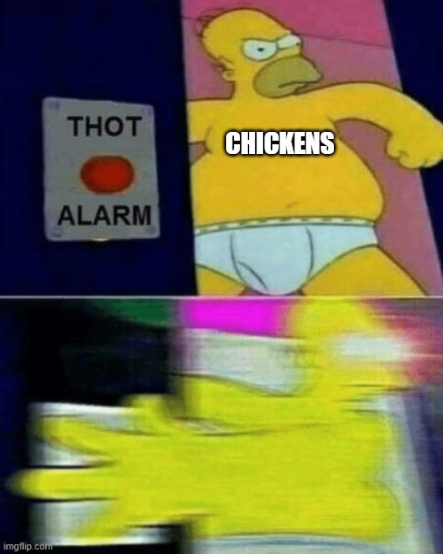 Thot Alarm | CHICKENS | image tagged in thot alarm | made w/ Imgflip meme maker