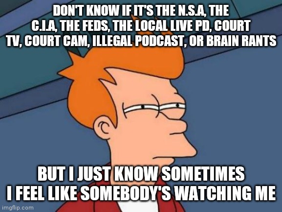 Futurama Fry Meme | DON'T KNOW IF IT'S THE N.S.A, THE C.I.A, THE FEDS, THE LOCAL LIVE PD, COURT TV, COURT CAM, ILLEGAL PODCAST, OR BRAIN RANTS; BUT I JUST KNOW SOMETIMES I FEEL LIKE SOMEBODY'S WATCHING ME | image tagged in memes,futurama fry | made w/ Imgflip meme maker