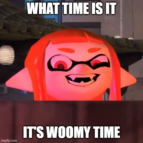 Did you say woomy? | WHAT TIME IS IT; IT'S WOOMY TIME | image tagged in did you say woomy | made w/ Imgflip meme maker
