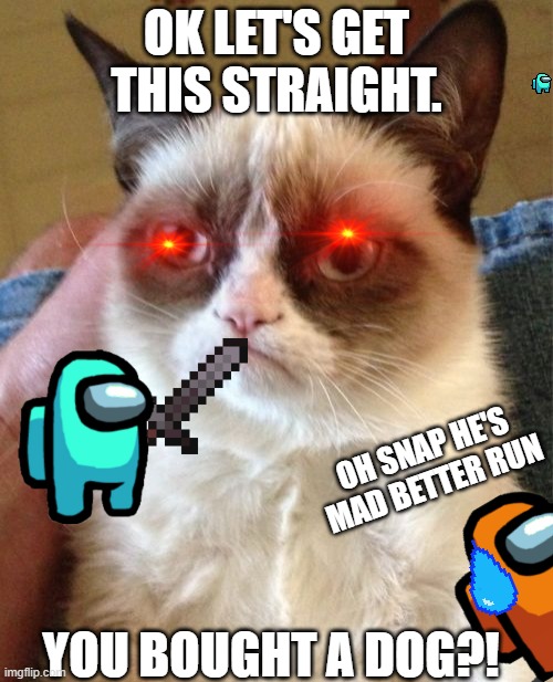 never buy a dog when you have a cat | OK LET'S GET THIS STRAIGHT. OH SNAP HE'S MAD BETTER RUN; YOU BOUGHT A DOG?! | image tagged in memes,grumpy cat | made w/ Imgflip meme maker
