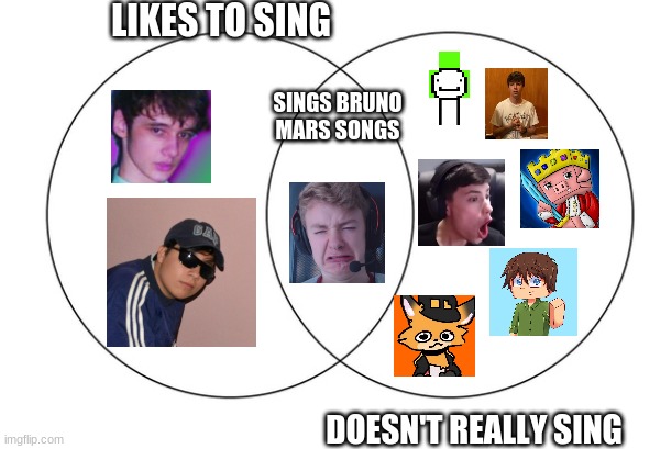 Took a long time | LIKES TO SING; SINGS BRUNO MARS SONGS; DOESN'T REALLY SING | image tagged in venn diagram,dreamsmp | made w/ Imgflip meme maker
