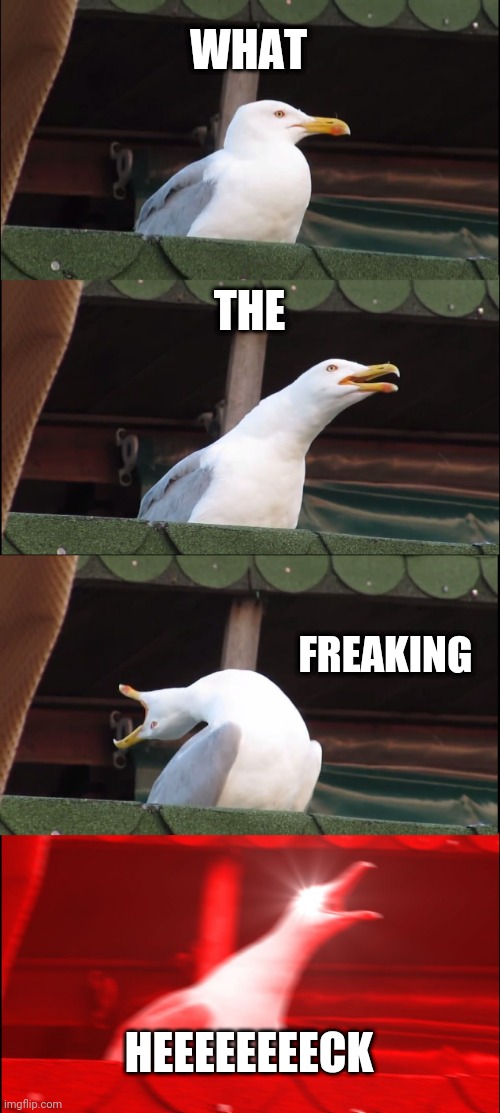 Inhaling Seagull | WHAT; THE; FREAKING; HEEEEEEEECK | image tagged in memes,inhaling seagull | made w/ Imgflip meme maker